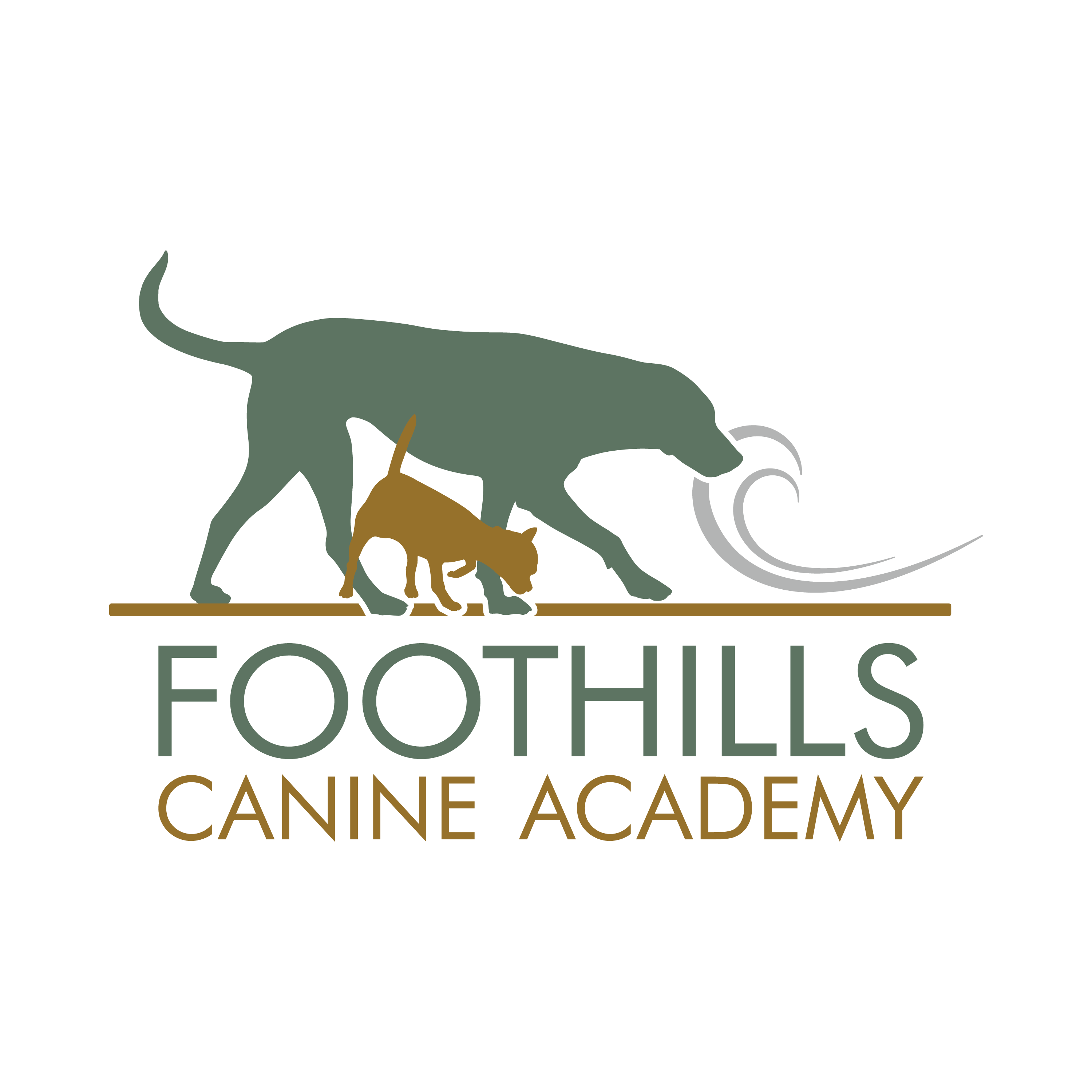 Foothills Canine Academy